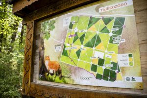 Megújult a Budakeszi Arborétum: természetvédelem, aktív kikapcsolódás és innováció egy helyen