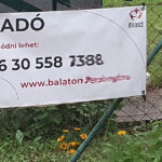 eladó balatoni ingatlan