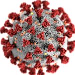 Szegedi kutatók elsőként építették meg egy teljes bakteriofág atomi szerkezetét