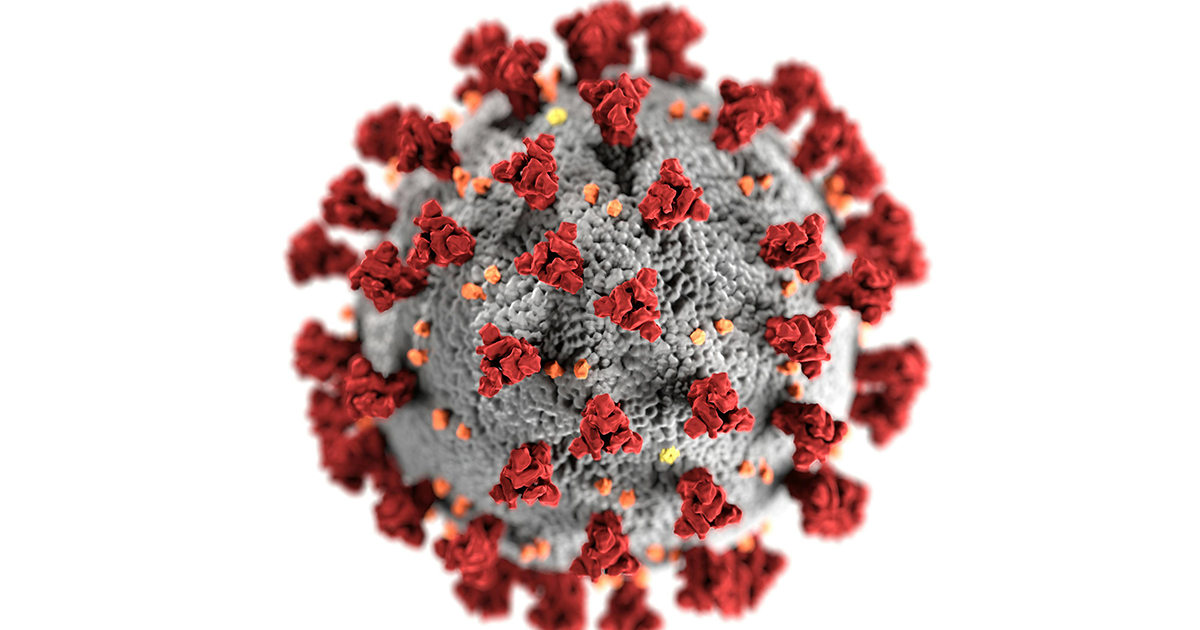 Szegedi kutatók elsőként építették meg egy teljes bakteriofág atomi szerkezetét