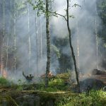 tűzgyújtási tilalom