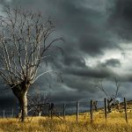 vihar zivatar jégeső katasztrófa