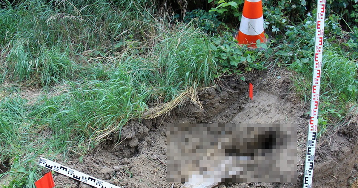 gyilkosság, elásta