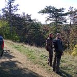 büntetik az erdőben szabályt szegőket