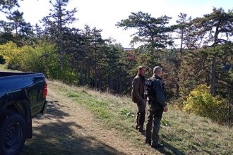 büntetik az erdőben szabályt szegőket