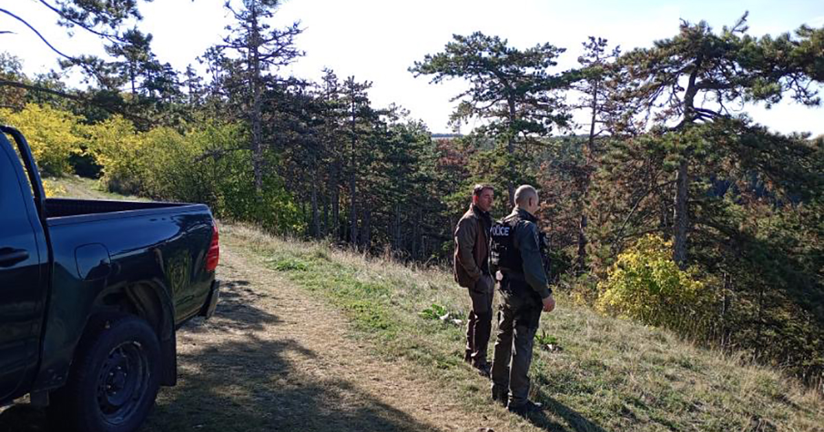 büntetik az erdőben szabályt szegőket